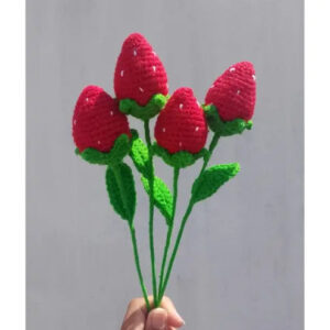 Crochet Strawberry