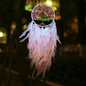 Pink crystal gravel tree of life dream catcher feather