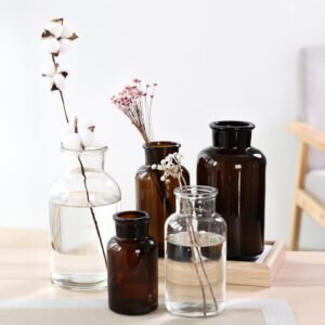 Hydroponic Plant Glass Bottle